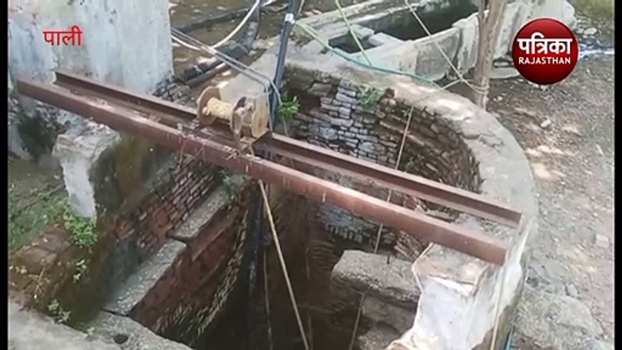 Watch Video : सौ फीट गहरे कुंए में गिरा पैंथर, पानी की मोटर के सहारे तैरकर बचाई खुद की जान