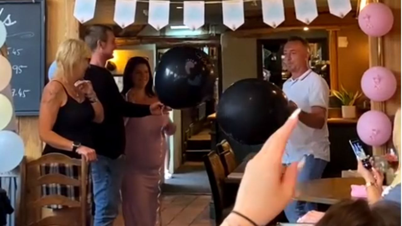 Full-of-hope dog leads heartwarming gender reveal with full excitement despite his failing health