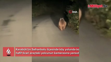 Köy yoluna çıkan ayı kamerada