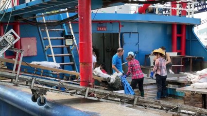 How Chinese demand for fish maw (swim bladder) fuels a $52 million industry in Uganda