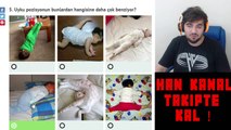 Hangi Şirin Senin Karakterini Yansıtıyor TESTİ