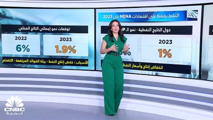 Download Video: البنك الدولي يتوقع تباطؤ نمو اقتصادات الشرق الأوسط وشمال إفريقيا هذا العام