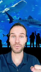 L’acquarium le plus vieux du monde 