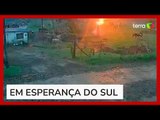 Raio destrói árvore e quase atinge animais em fazenda no Rio Grande Sul