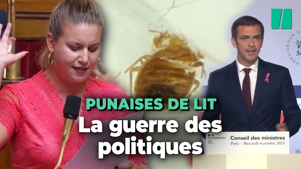Comment les punaises de lit sont devenues un sujet d’affrontement politique