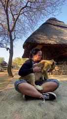 Lion Cub Greets Volunteer