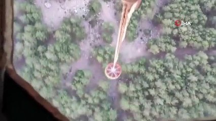 İzmir'de orman yangını kontrol altında