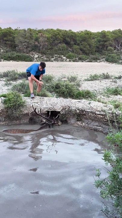Rescuing A Deer From A Well
