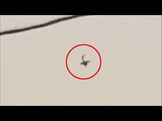 Video shows diving plane before crash that killed student pilot, instructor in Oregon