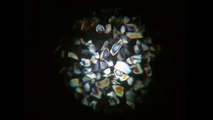 Le Meurtre Obsédante De Susanne Galway _ Nouveaux Détectives _ True Crime Storie