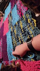 Kitten Helps With The Knittin'