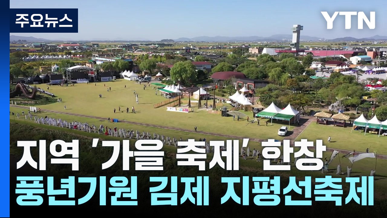 익어가는 들녘 지평선 축제...하얀 꽃망울 구절초 '활짝' / YTN