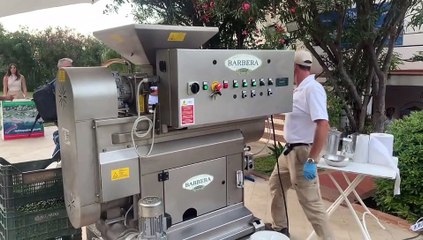 Palermo, l'olio Barbera supera a pieni voti i test