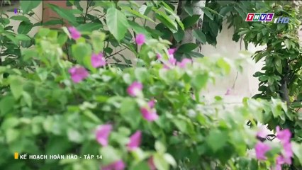KẾ HOẠCH HOÀN HẢO - TẬP 14 - PHIM VIỆT NAM THVL1 - XEM PHIM KE HOACH HOAN HAO TAP 15