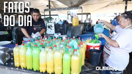 Círio 2023: veja como escolher o tucupi para receitas do tradicional almoço de domingo