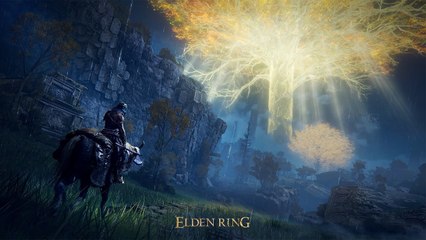 ELDEN RING – VaatiVidya Anfänger-Guide (Vertont von Lara Loft)