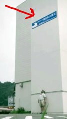 nature sometimes can not be beat