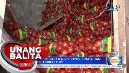 40 umano'y smuggler ng sibuyas, kinasuhan ng Dept. of Agriculture | UB