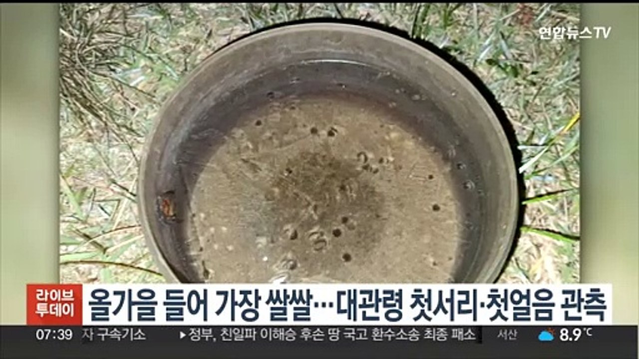 올가을 들어 가장 쌀쌀…대관령 첫서리·첫얼음 관측