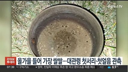 올가을 들어 가장 쌀쌀…대관령 첫서리·첫얼음 관측
