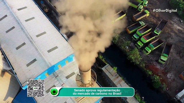 Senado aprova regulamentação do mercado de carbono no Brasil