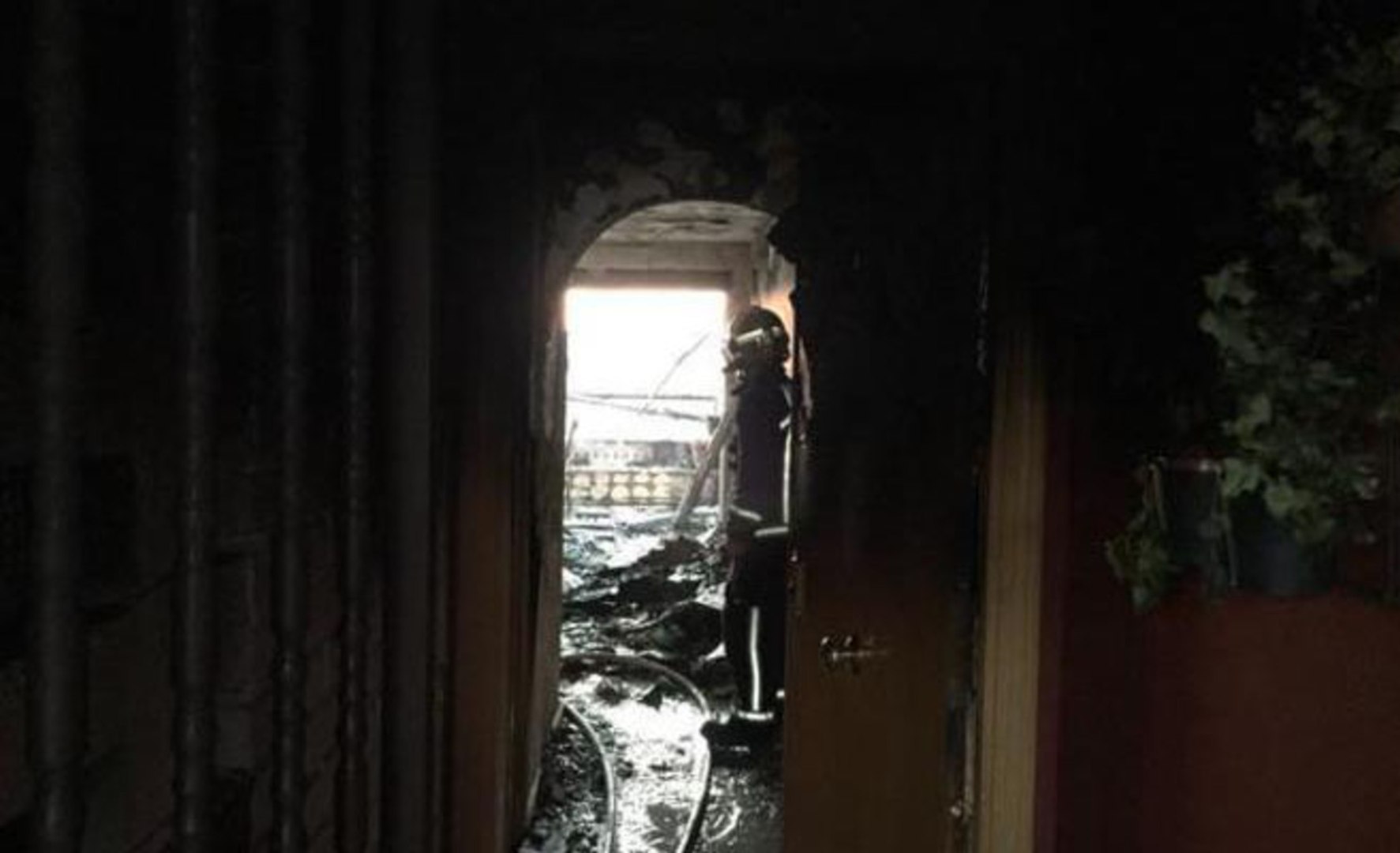 Noticias de Madrid. Información local y última hora - Página 719 | EL MUNDO