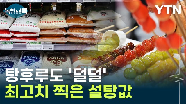 12년 만에 최고치 ...설탕값, '이것' 때문에 올랐다 [Y녹취록] / YTN