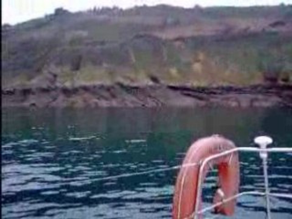 Bateau