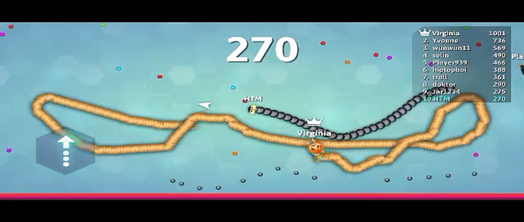 Small Snake Killed Me