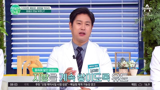 염증이 쌓이면 살이 찐다?! 염증과 비만의 연관성! #비만 #다이어트