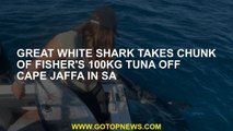 Great white shark takes chunk of fisher's 100kg tuna off Cape Jaffa in SA