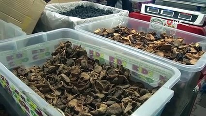 Début du festival de la culture anatolienne à Sultangazi