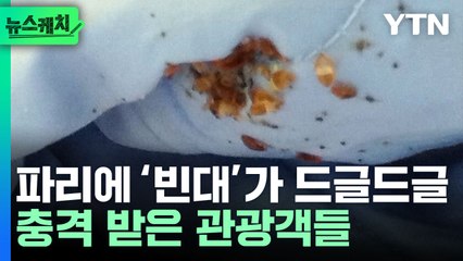 파리 호텔에 기차까지 '빈대' 창궐…불안에 떠는 관광객들 [뉴스케치] / YTN