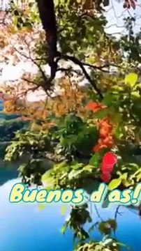 SE FIJA DIOS EN NOSOTROS?...