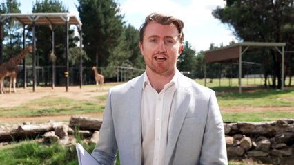 National Zoo welcomes new baby female giraffe