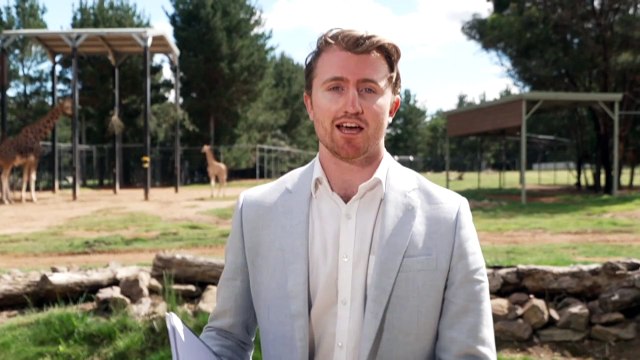 National Zoo welcomes new baby female giraffe