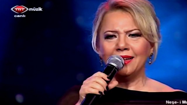 Güzin Değişmez / Bakışı çağırı beni uzaktan