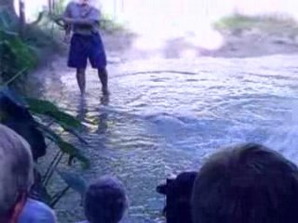 The Croc farm.