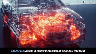 Cooling System Care for BMW Ensuring Reliable Performance and Preventing Overheating