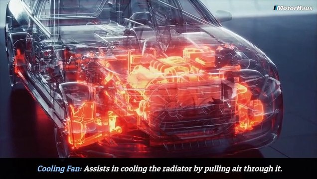 Cooling System Care for BMW Ensuring Reliable Performance and Preventing Overheating