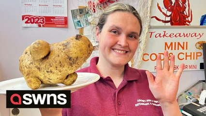 Chip shop finds massive potato - enough for two whole portions