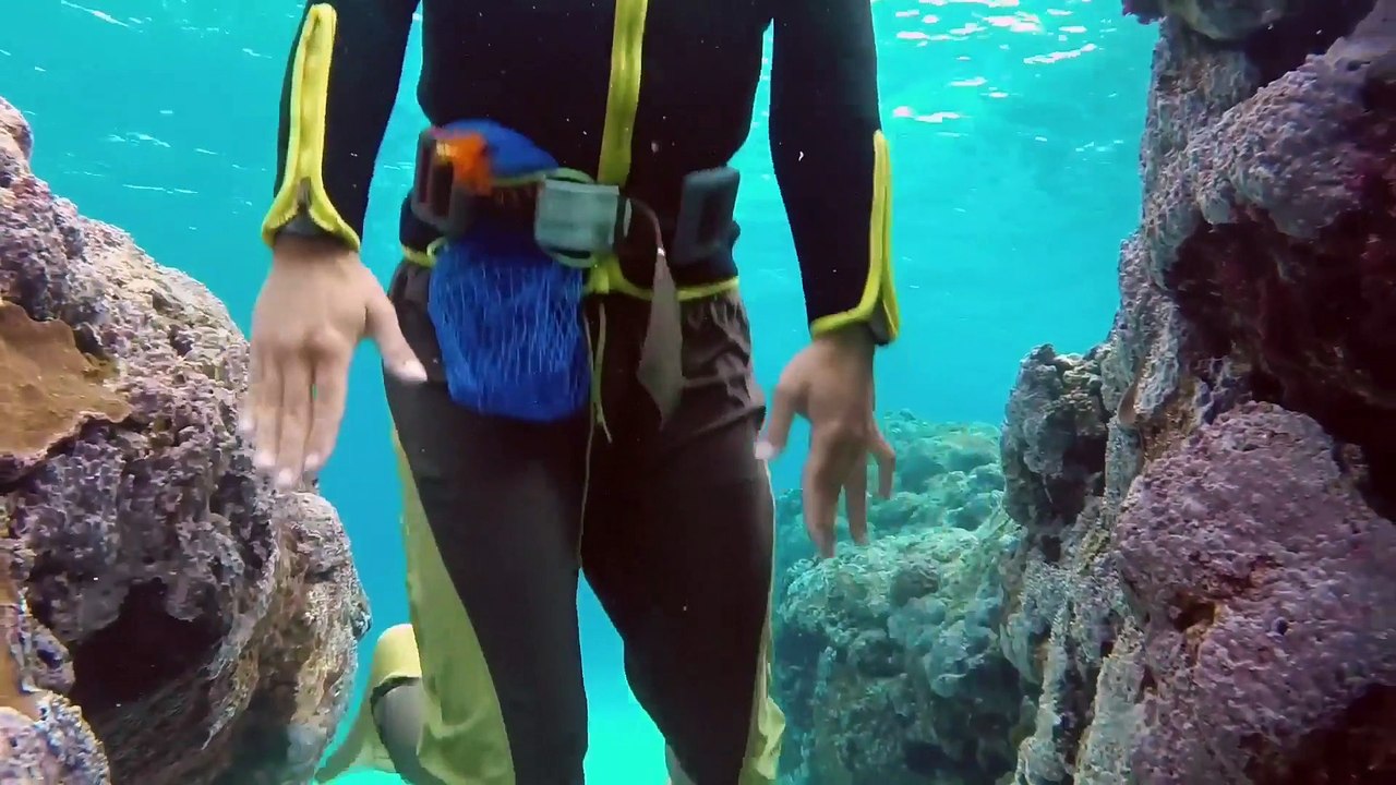 Amazing Quest - Stories from Japan - Somewhere on Earth