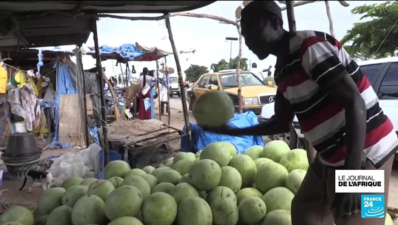 Sénégal : la pastèque pour diversifier les cultures des agriculteurs