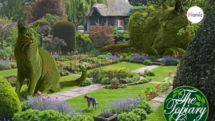 Cet homme a créé des buissons géants à l’effigie de son chat défunt