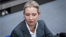 AfD-Chefin Alice Weidel: Angst-Flucht oder Urlaub auf Mallorca?