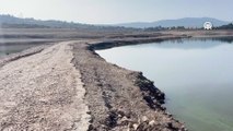 Bodrum'un ihtiyacını karşılayan barajlardan Mumcular'da su dip seviyeye düştü