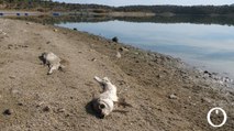 Bebés que se bañan con garrafas o cocinar con agua mineral: la vida de 80.000 personas en Córdoba