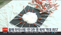 올해 마약사범 1만3천명 육박 '역대 최다'…10대·60대 급증