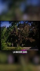 1 film d'horreur par jour: Sinister