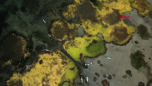 Eğirdir Gölü'ndeki Flamingolar Hayran Bıraktı